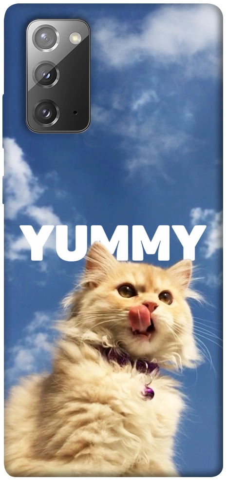 Чехол Sky kitty для Galaxy Note 20