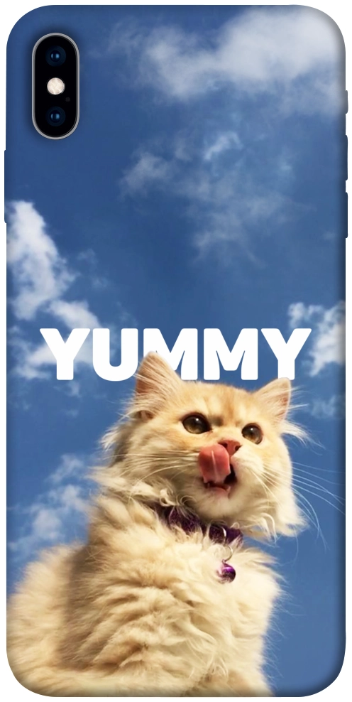 Чехол Sky kitty для iPhone XS