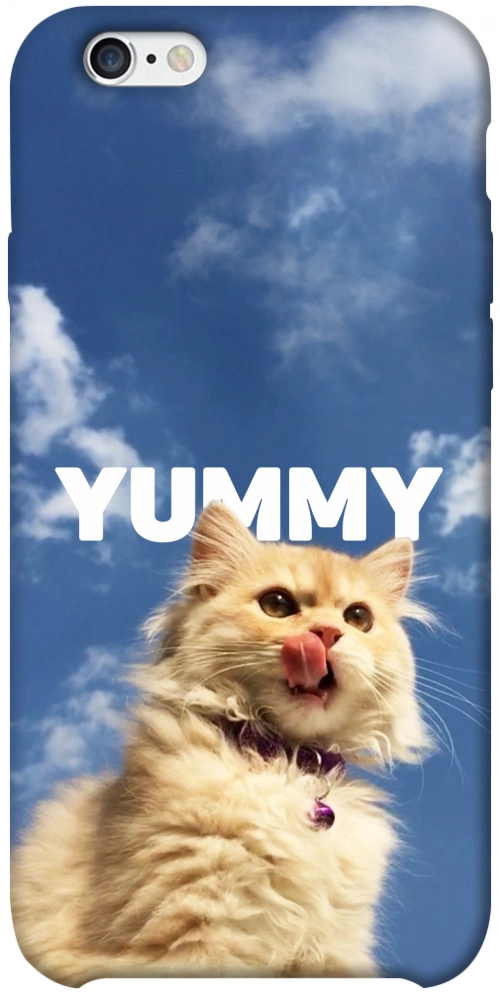 Чохол Sky kitty для iPhone 6S Plus