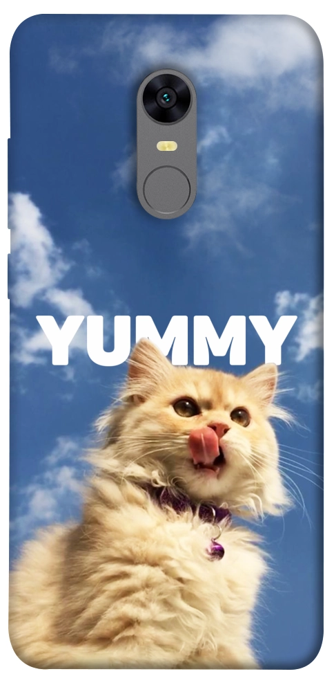 Чехол Sky kitty для Xiaomi Redmi Note 5 (Single Camera)
