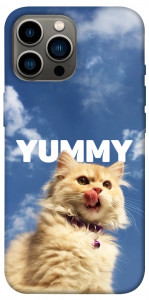 Чехол Sky kitty для iPhone 12 Pro Max