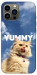 Чехол Sky kitty для iPhone 12 Pro Max