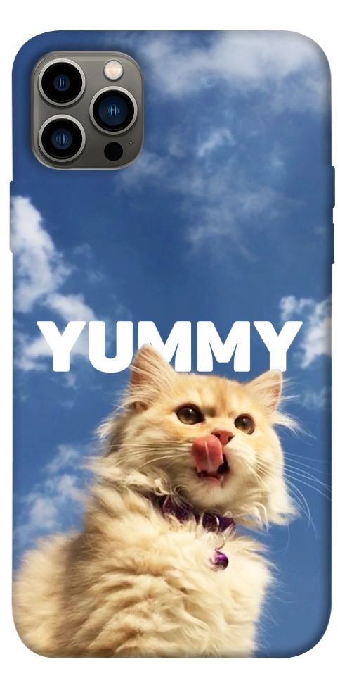Чохол Sky kitty для iPhone 12 Pro