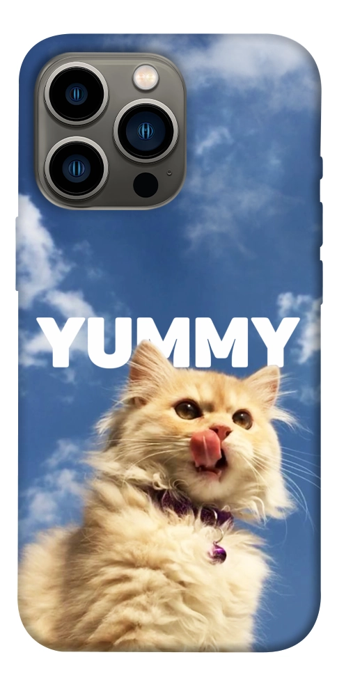 Чехол Sky kitty для iPhone 13 Pro