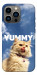 Чехол Sky kitty для iPhone 13 Pro