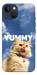 Чехол Sky kitty для iPhone 13