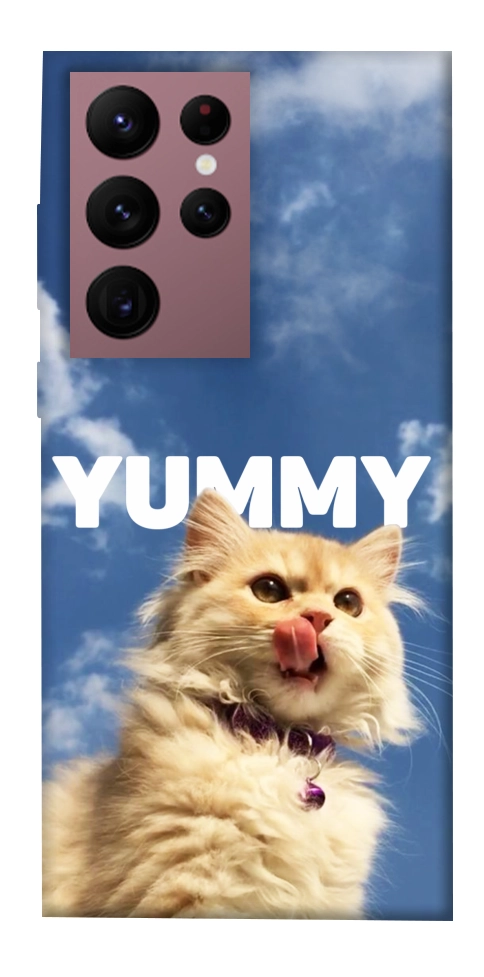 Чехол Sky kitty для Galaxy S22 Ultra