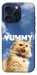 Чехол Sky kitty для iPhone 15 Pro