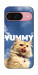 Чехол Sky kitty для Google Pixel 9