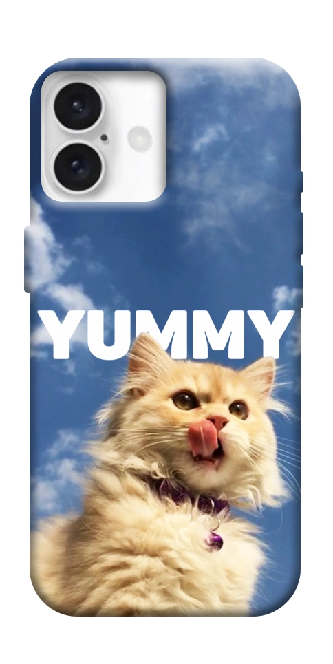 Чехол Sky kitty для iPhone 16