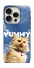 Чехол Sky kitty для iPhone 16 Pro