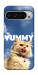 Чехол Sky kitty для Google Pixel 9 Pro XL