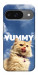 Чехол Sky kitty для Google Pixel 10