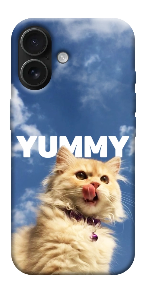 Чехол Sky kitty для iPhone 17