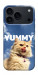 Чехол Sky kitty для iPhone 17 Pro Max