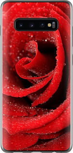 Чехол для Samsung Galaxy S10 Plus Красная роза (Красный)