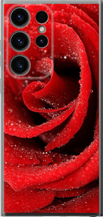 Чохол для Samsung Galaxy S24 Ultra Червона роза (Червоний)