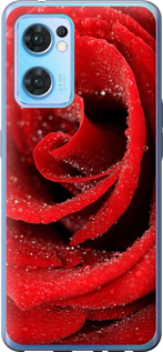 Чохол для Oppo Reno7 5G Червона троянда (Червоний)