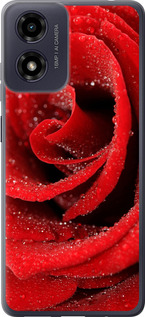 Чохол для Motorola Moto G04 Червона роза (Червоний)