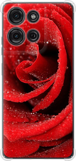 Чехол для Motorola Moto G75 5G Красная роза (Красный)