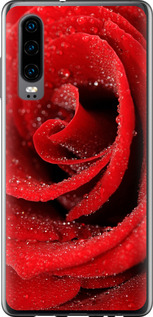 Чехол для Huawei P30 Красная роза (Красный)