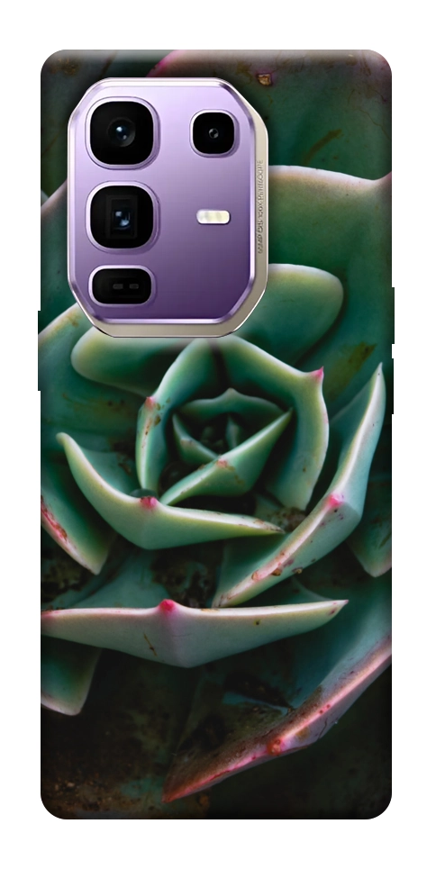Чехол Эхеверия для Infinix Note 50 Pro+