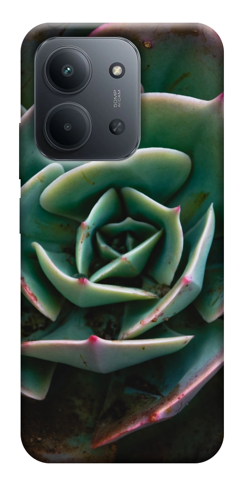 Чохол Ехеверія для Xiaomi Redmi 15C (Europe version)