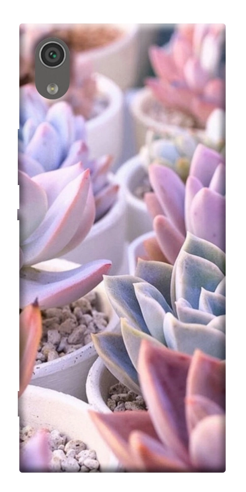 Чехол Эхеверия 2 для Sony Xperia XA1