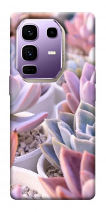 Чехол Эхеверия 2 для Infinix Note 50 Pro+