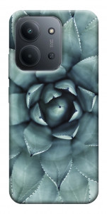 Чохол Сукуленти для Xiaomi Redmi 15C (Europe version)