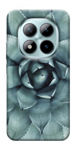 Чехол Суккуленты для Xiaomi Redmi Note 15 Pro 5G