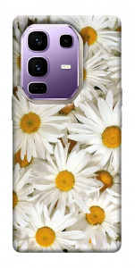 Чехол Chamomile для Infinix Note 50 Pro+