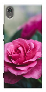 Чехол Роза в саду для Sony Xperia XA1