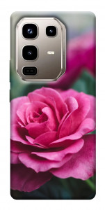 Чехол Роза в саду для Infinix Note 50 Pro 4G
