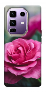 Чехол Роза в саду для Infinix Note 50 Pro+
