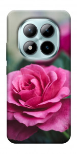 Чехол Роза в саду для Xiaomi Redmi Note 15 Pro+ 5G