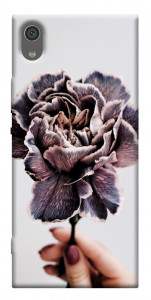 Чехол Гвоздика для Sony Xperia XA1
