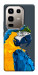 Чохол Папуга для Infinix Note 50 Pro 4G