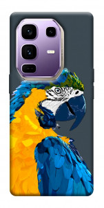 Чехол Попугай для Infinix Note 50 Pro+