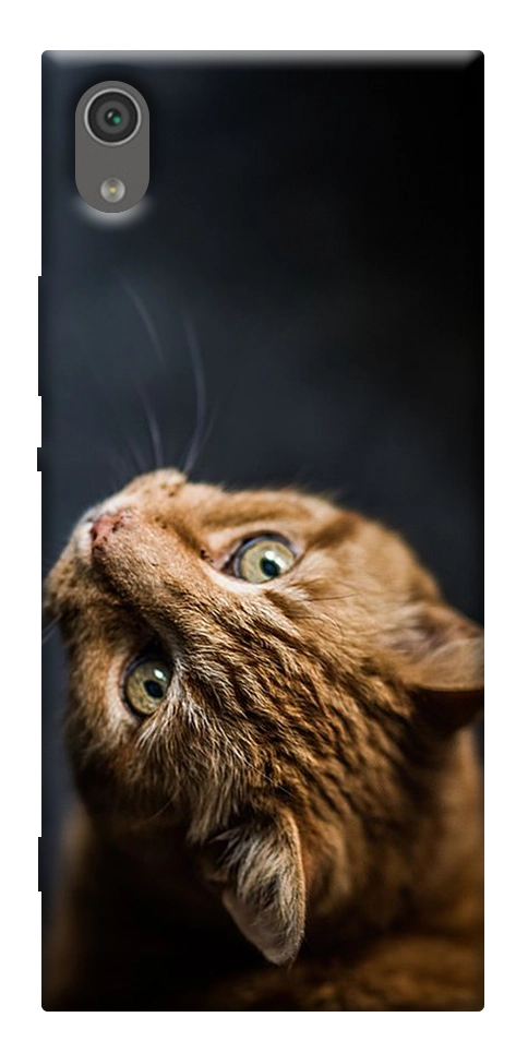 Чехол Рыжий кот для Sony Xperia XA1