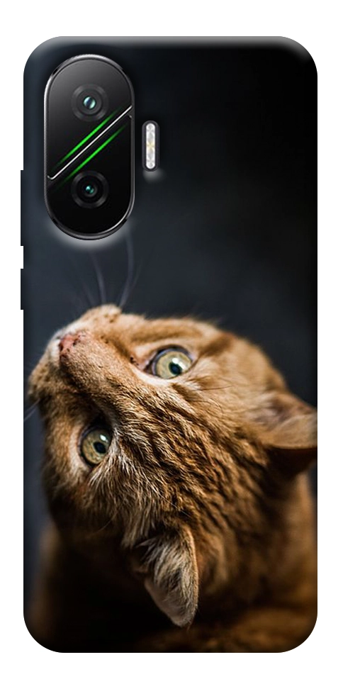 Чехол Рыжий кот для Xiaomi Poco F7