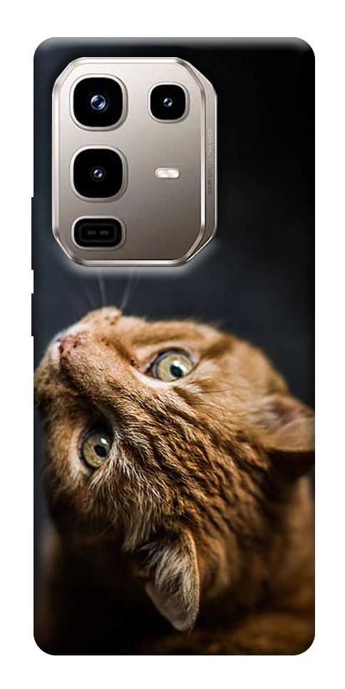 Чехол Рыжий кот для Infinix Note 50 Pro 4G