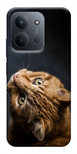 Чехол Рыжий кот для Xiaomi Redmi 15C (Europe version)