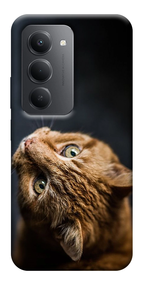 Чехол Рыжий кот для Xiaomi Redmi 15 (Europe version)