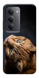 Чехол Рыжий кот для Xiaomi Redmi 15 (Europe version)