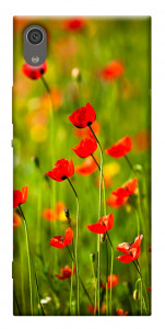 Чехол Маковое поле для Sony Xperia XA1