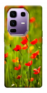 Чехол Маковое поле для Infinix Note 50 Pro+