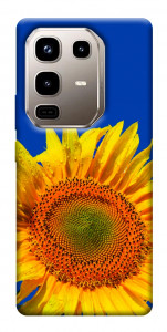 Чехол Sunflower для Infinix Note 50 Pro 4G