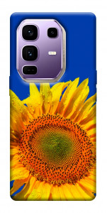 Чехол Sunflower для Infinix Note 50 Pro+