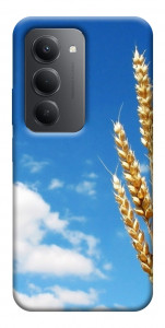 Чехол Пшеница для Xiaomi Redmi 15 (Europe version)